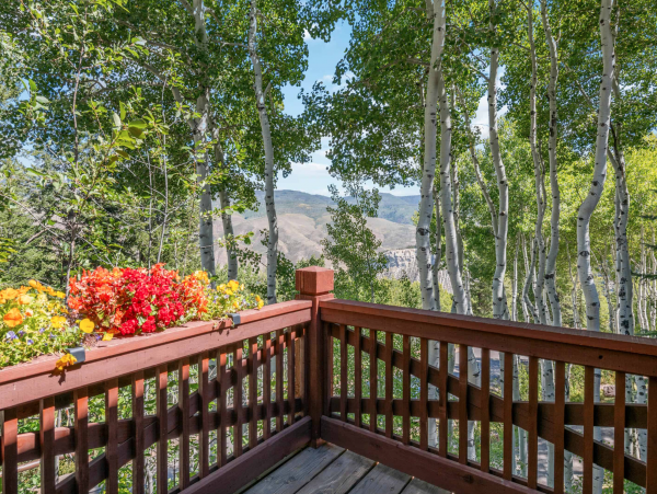 Ski in via Bedstraw and shuttle out Bachelors Gulch Residence